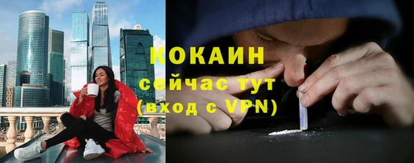 мет Новодвинск