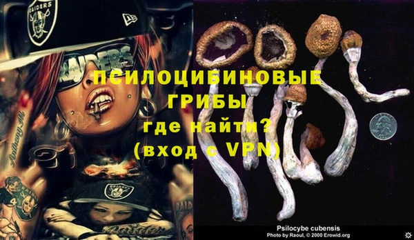 мет Новодвинск