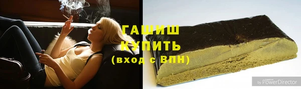 прущие грибы Вязники